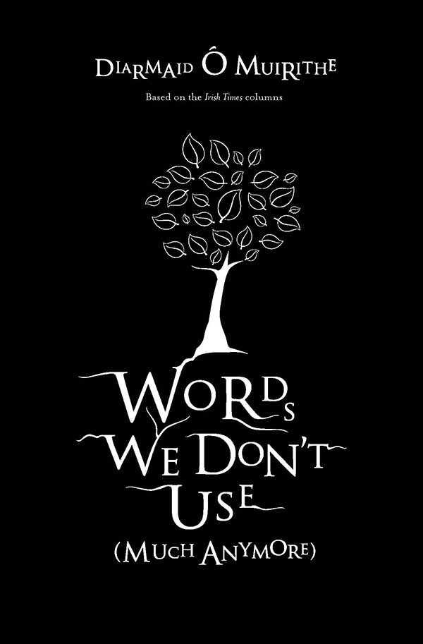 Words We Don't Use