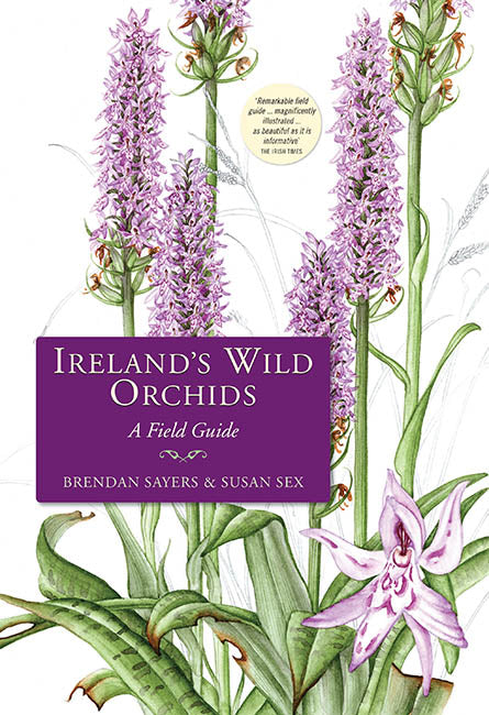 Ireland's Wild Orchids