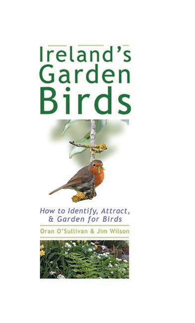 Ireland’s Garden Birds