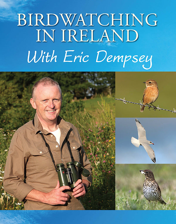 Birdwatching in Ireland with Eric Dempsey