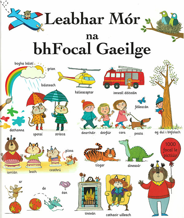 Leabhar Mór na bhFocal Gaeilge