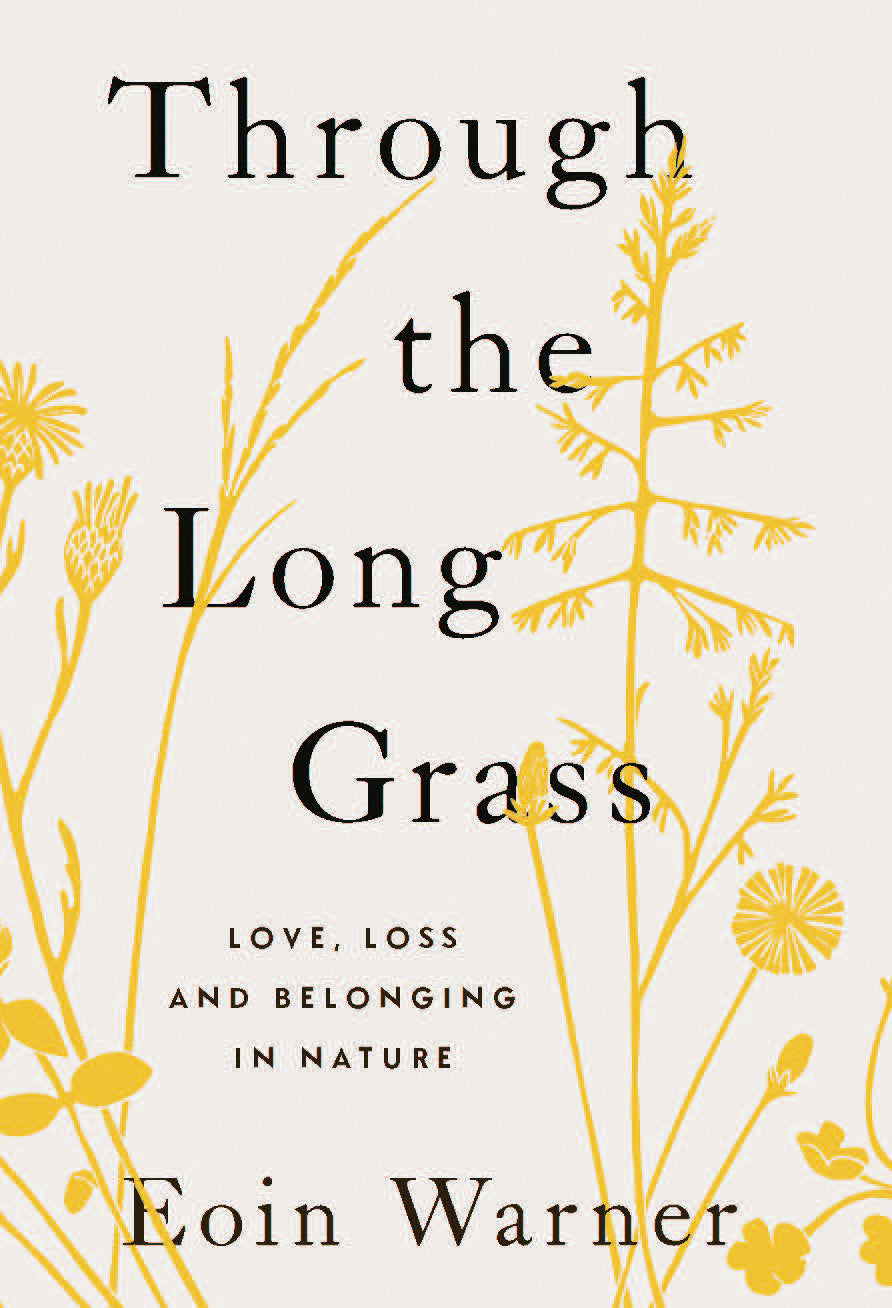 Through the Long Grass
