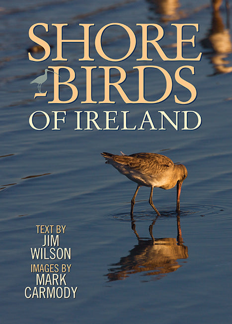 Shorebirds of Ireland