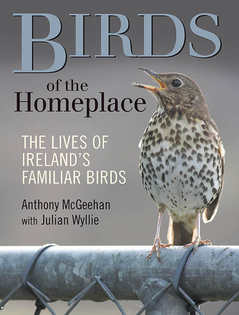 Birds of the Homeplace